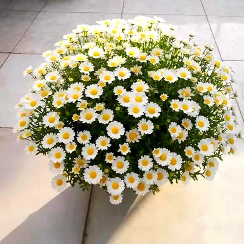 53ed0f8ff6c73d4c9c37686b5f4390d3.webp 53ed0f8ff6c73d4c9c37686b5f4390d3.webp